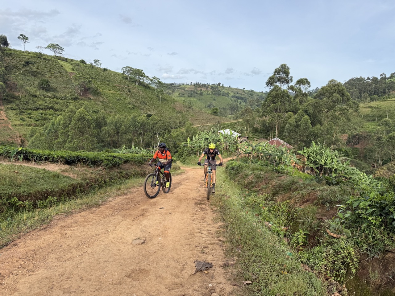 Fietsen in Bwindi naar Ruhija
