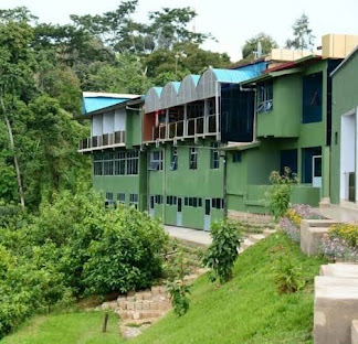 Chimpanzee Lodge 2