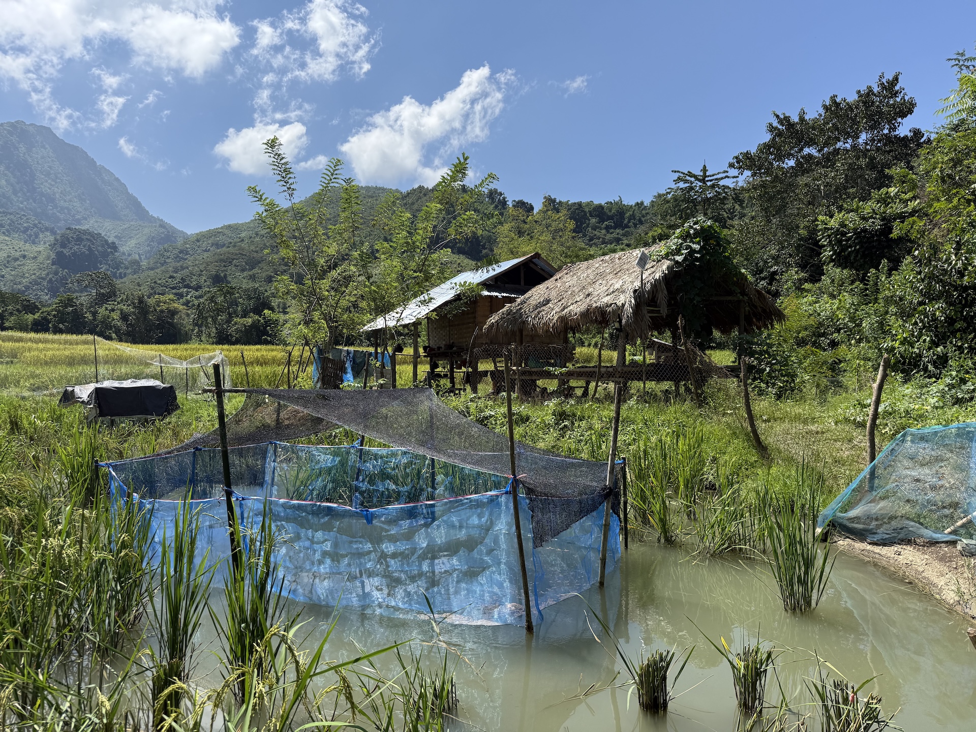 Huisje tijdens wandeling in Laos