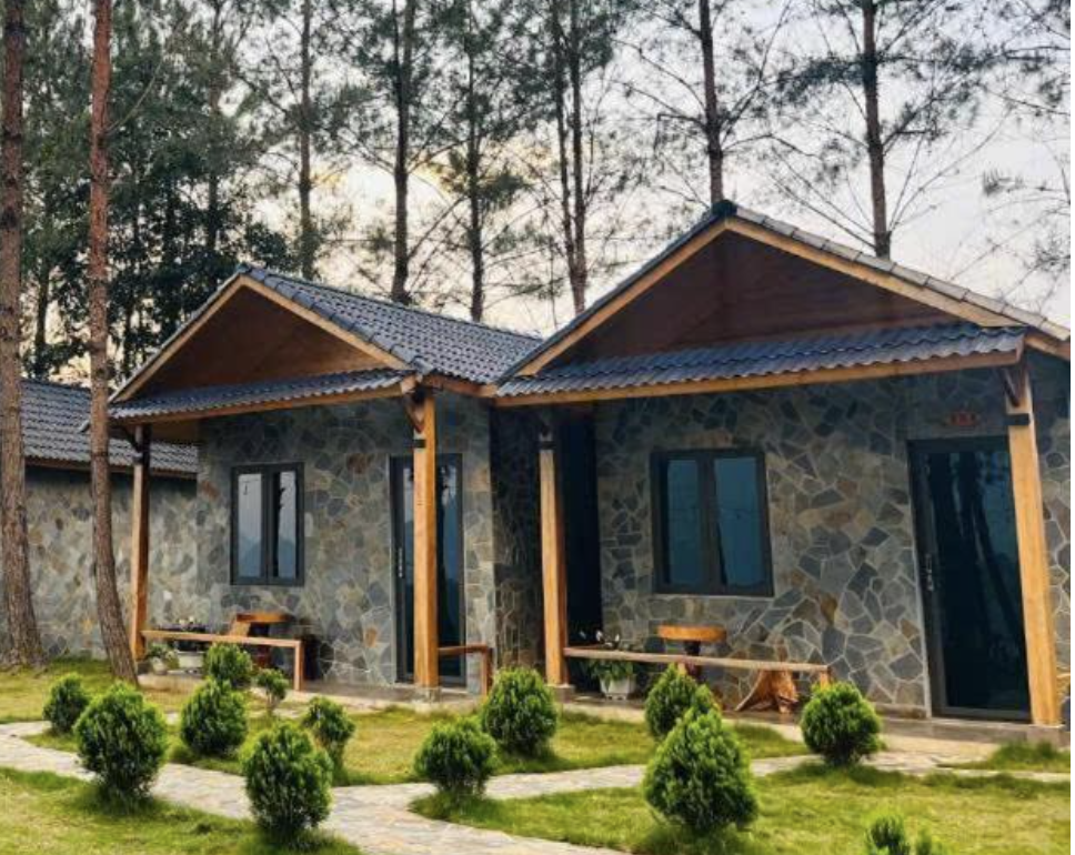 Pine Forest Homestay1