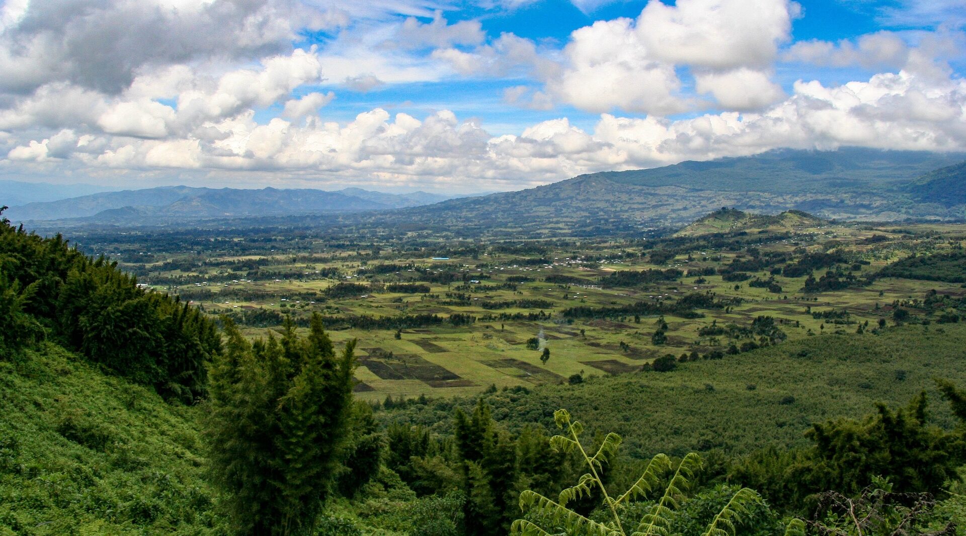 Rwanda omgeving107