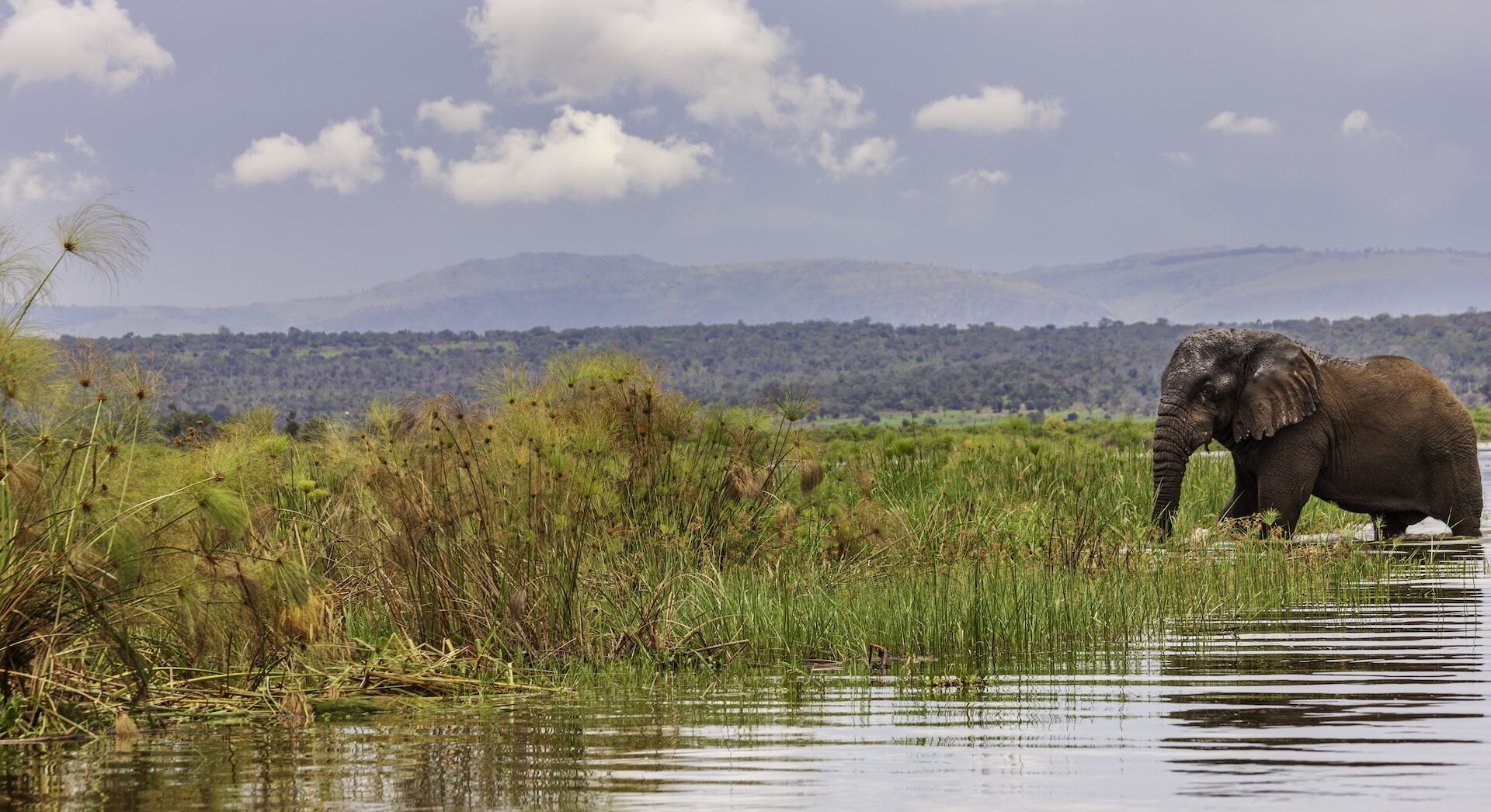 Rwanda omgeving86