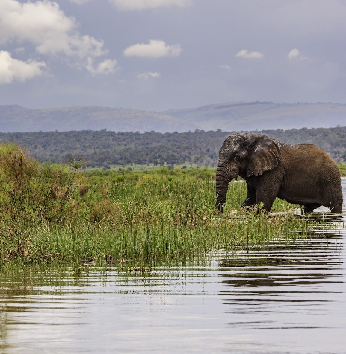 Rwanda omgeving86