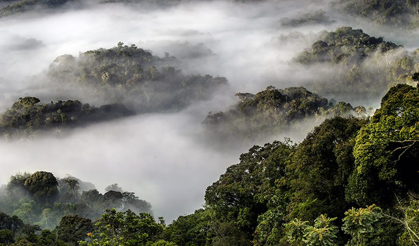 Rwanda web16