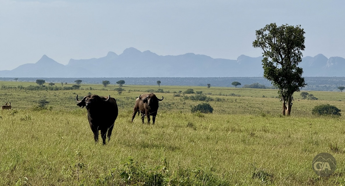 CvA Tour of Karamoja 78 2