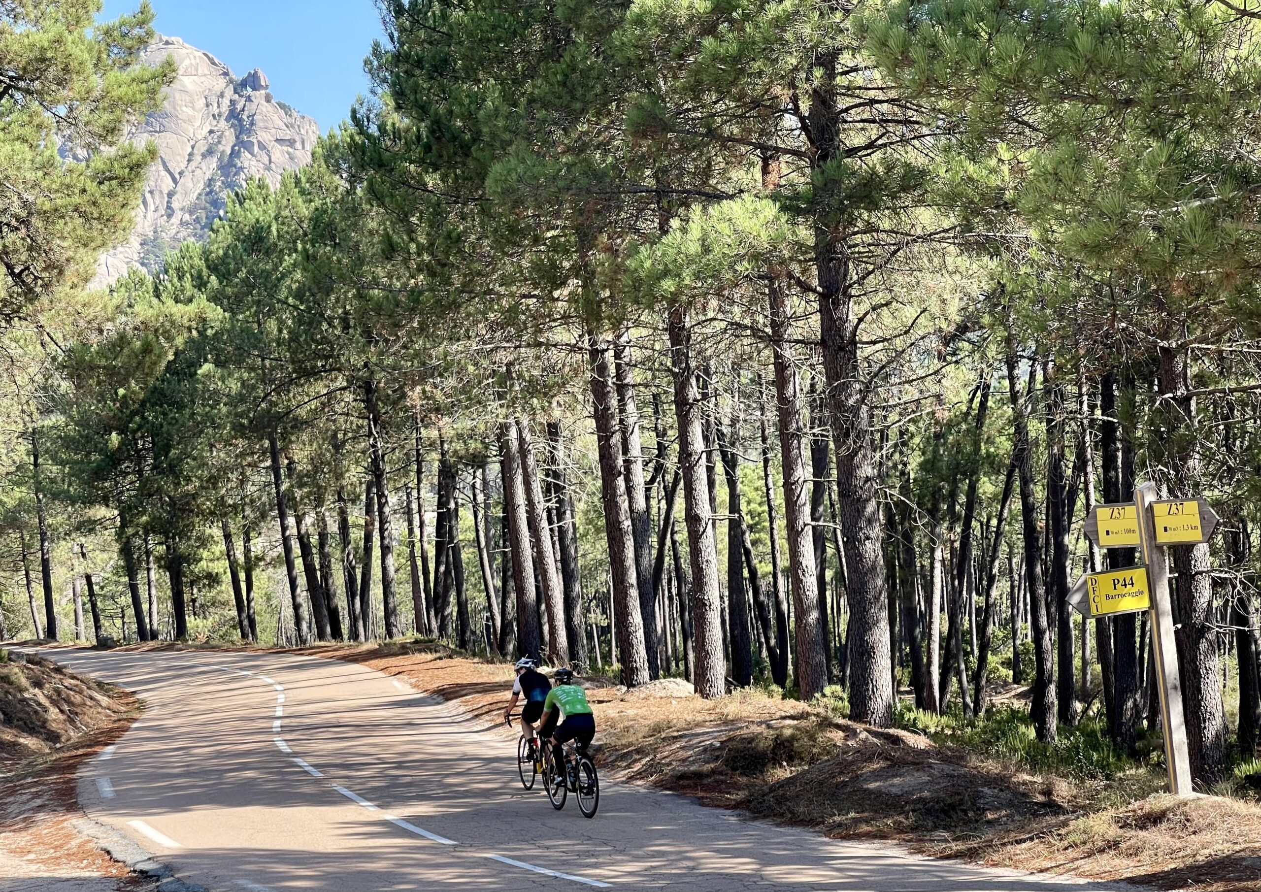 Racefiets vakantie op Corsica 1 scaled