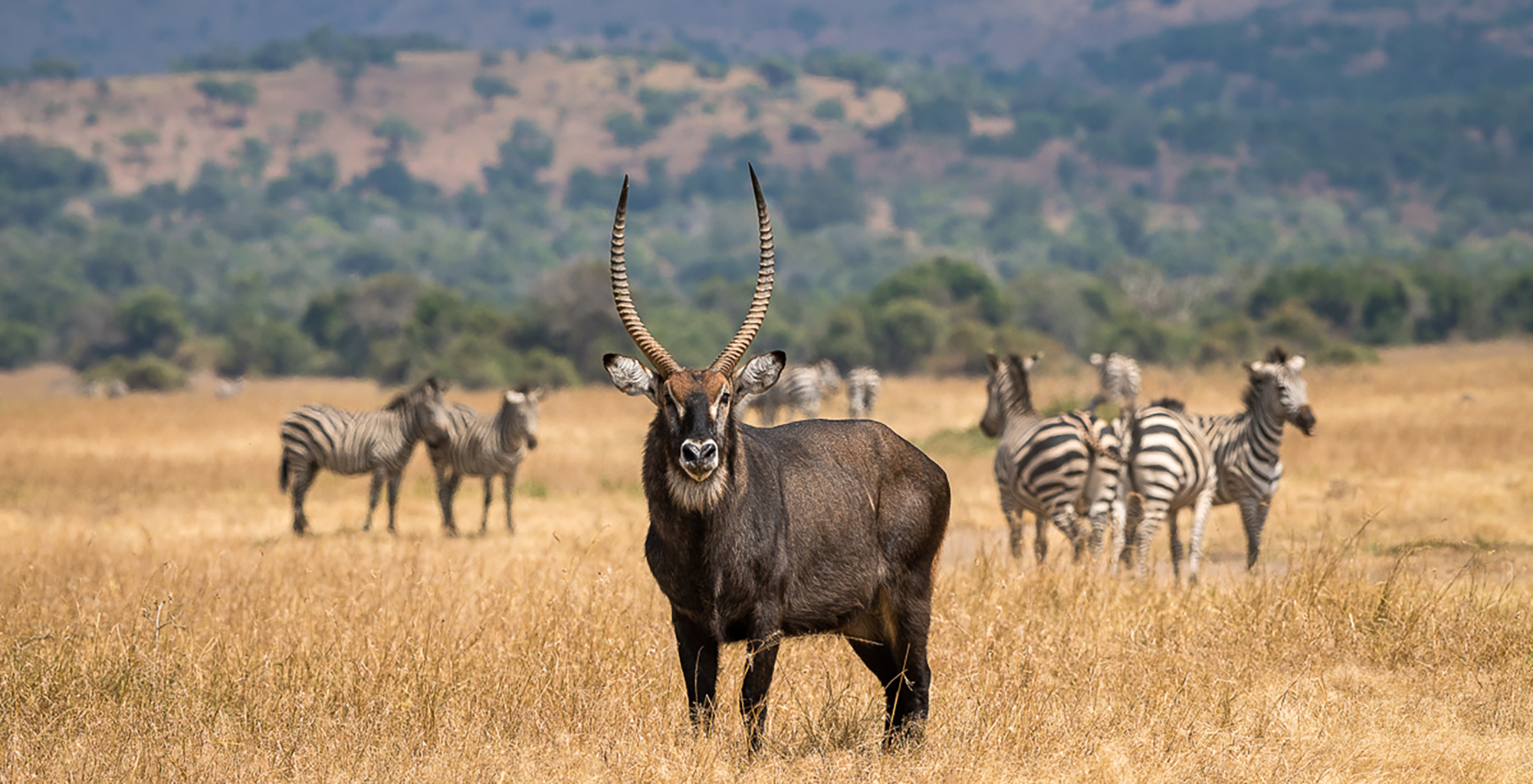 Rwanda web1