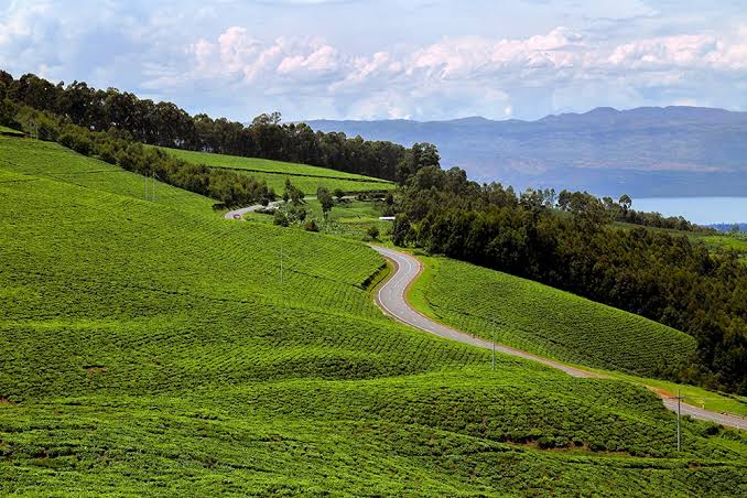 Rwanda web19