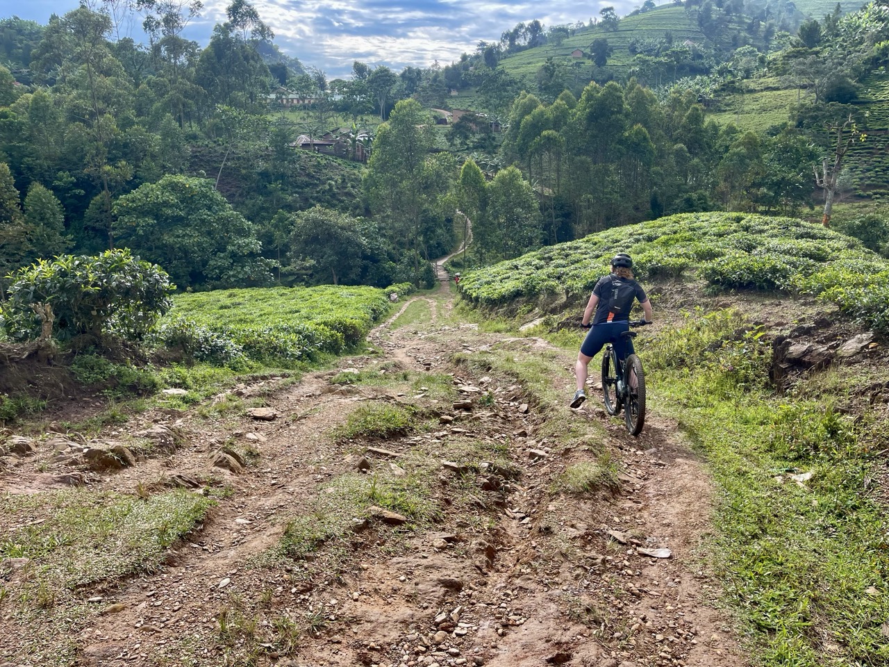 Fietsen in Bwindi met CvA travel 2