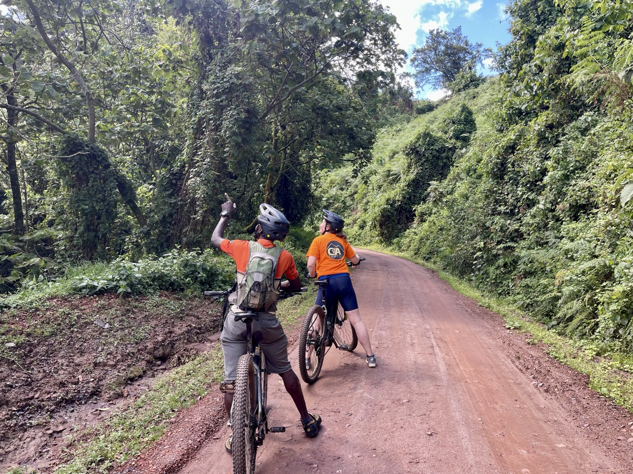 Fietsen in Bwindi met CvA travel