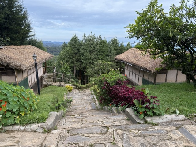 Gorilla mist camp1