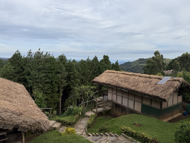 Gorilla mist camp3