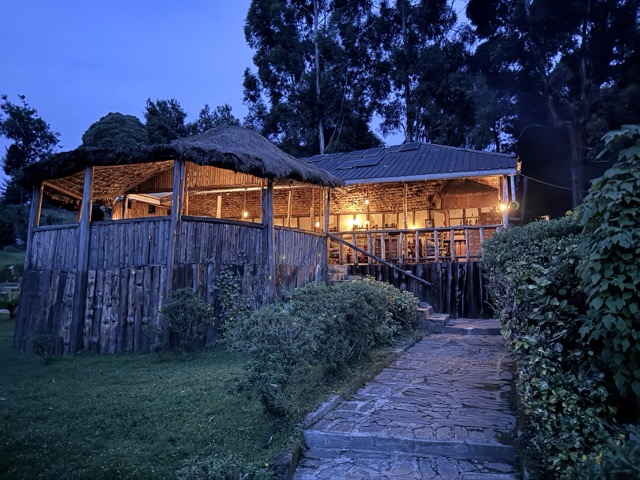 Gorilla mist camp4