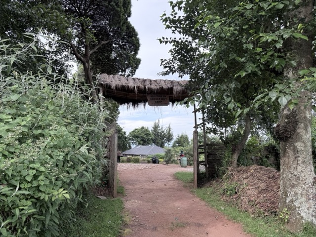 Gorilla mist camp5