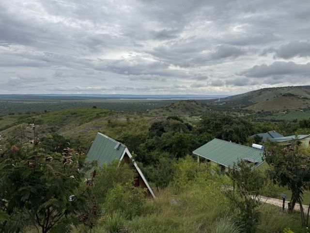 Hyena Hill 5