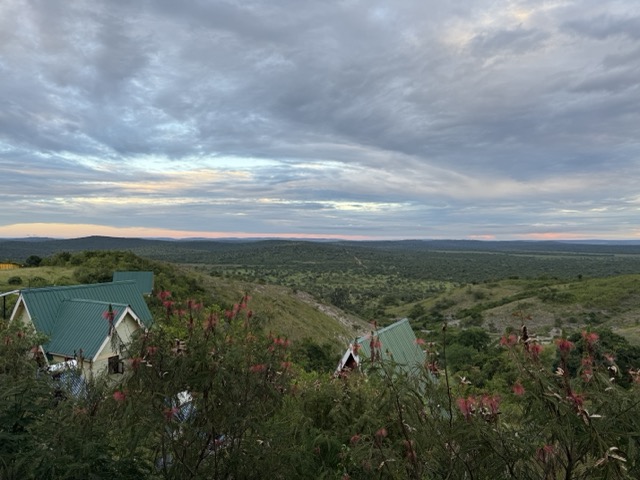Hyena Hill 6