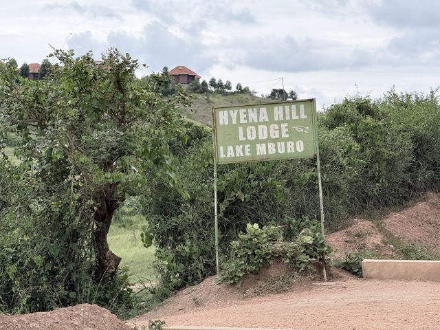 Hyena Hill 8