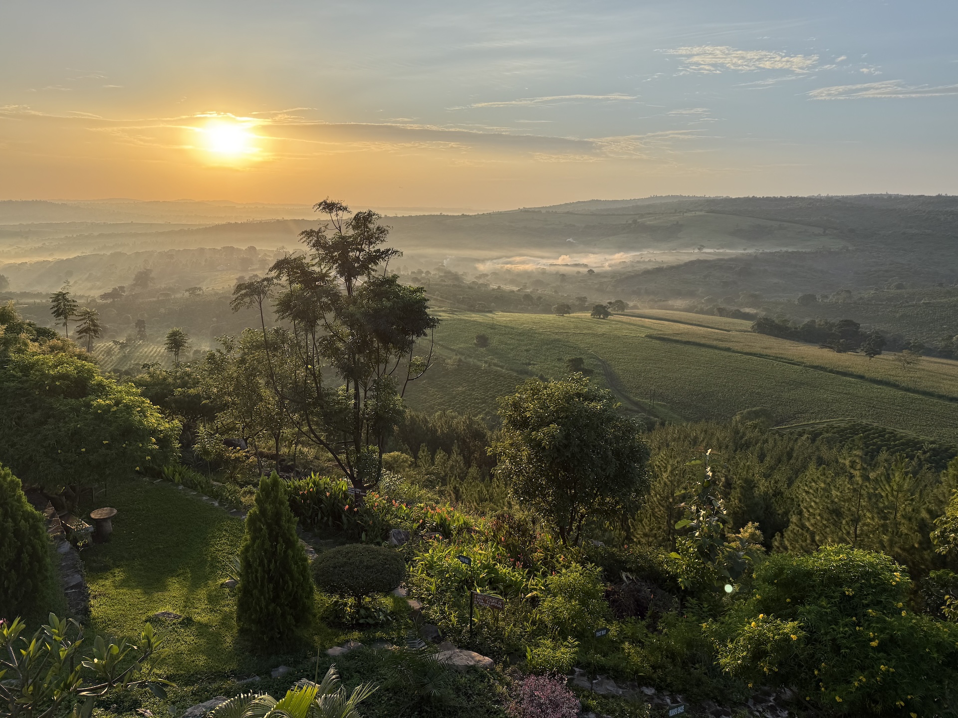 Koffie Lodge Clark Farm