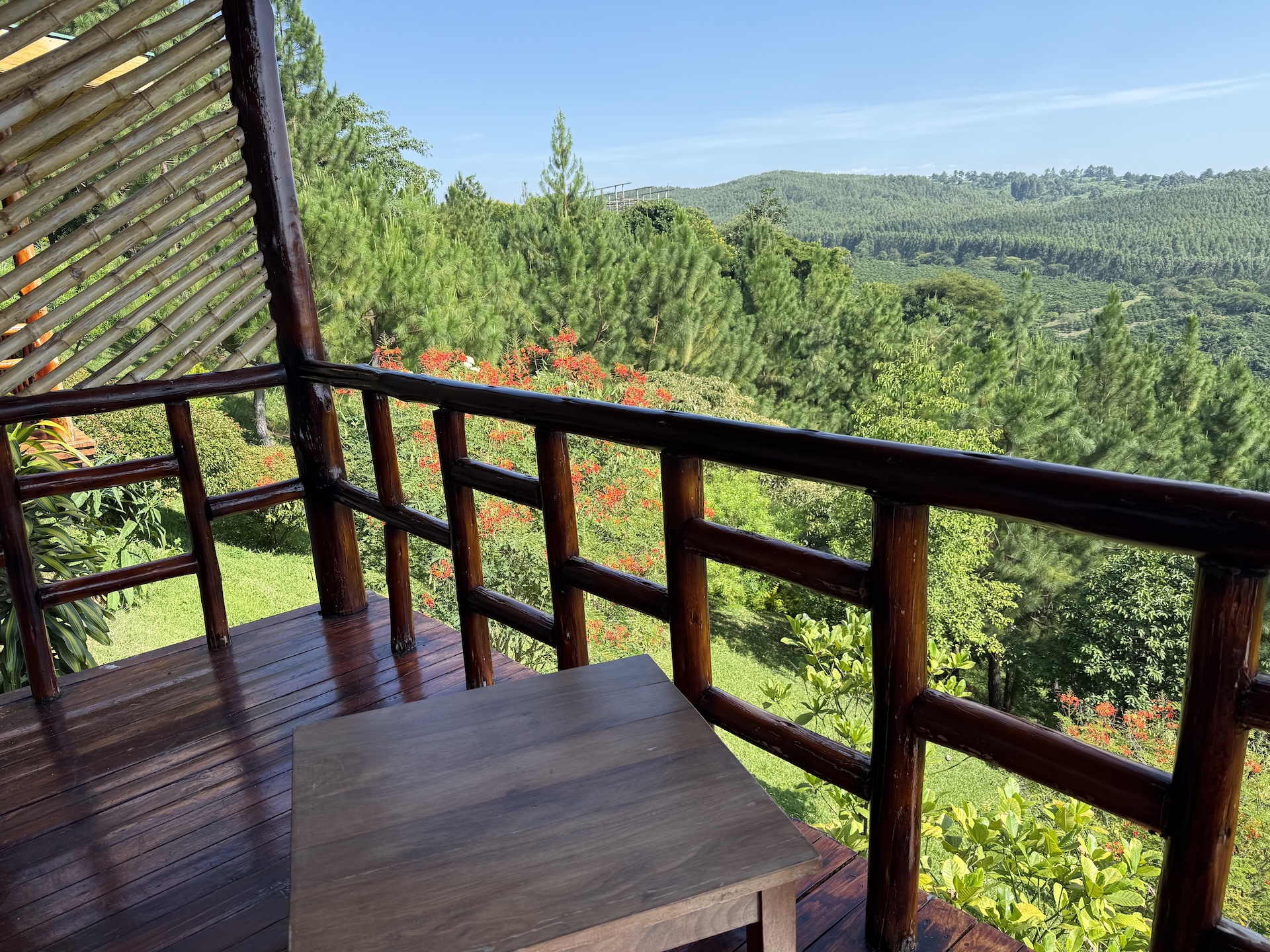 Koffie Lodge Clark Farm1