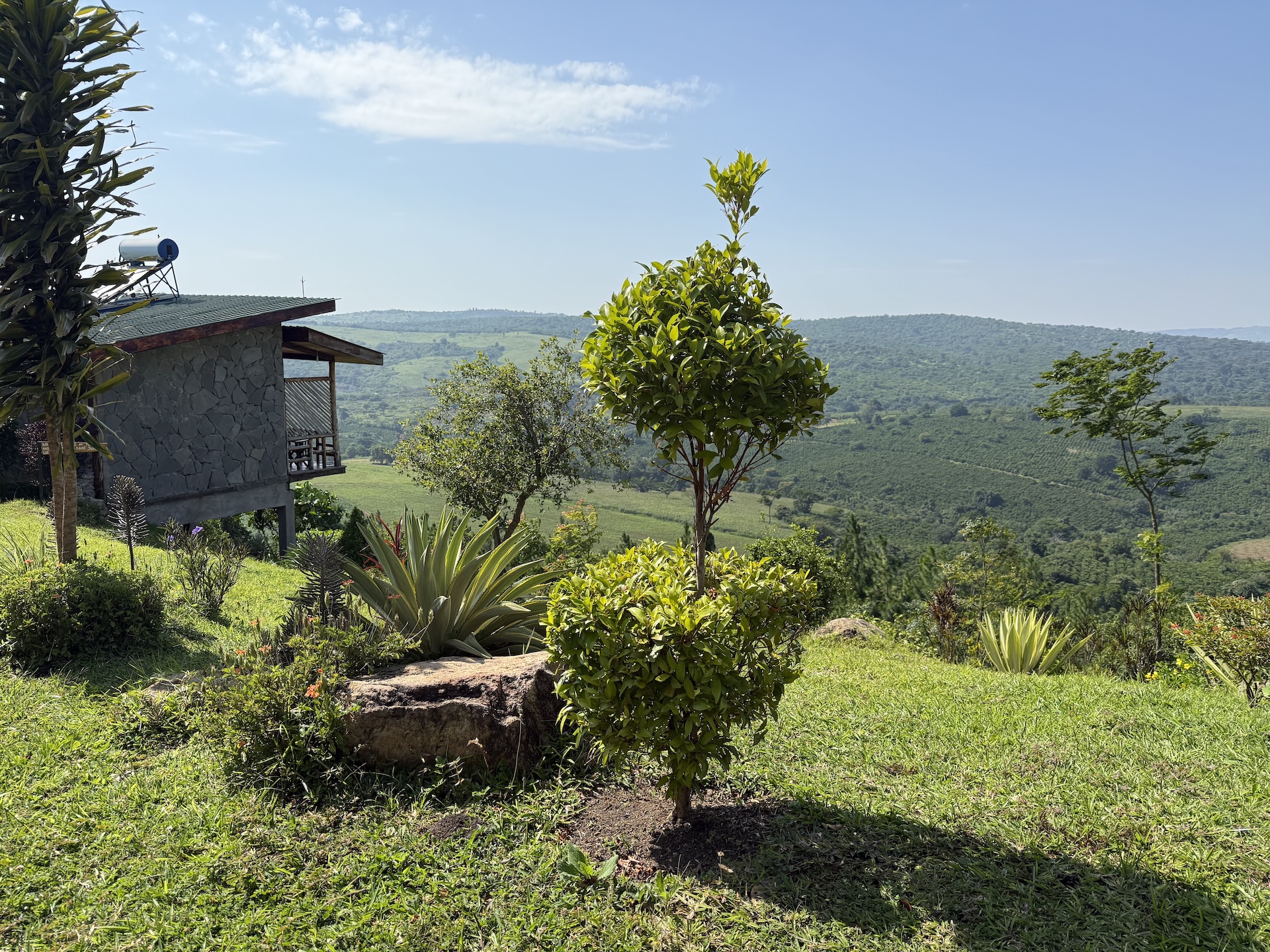 Koffie Lodge Clark Farm6