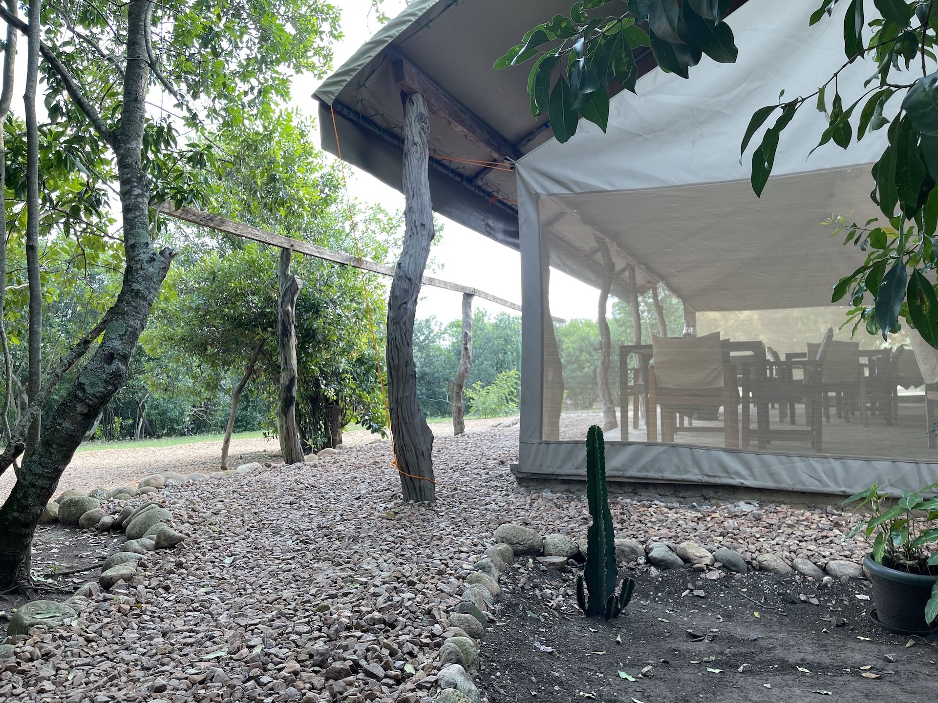 Restaurant van de Bush lodge 2