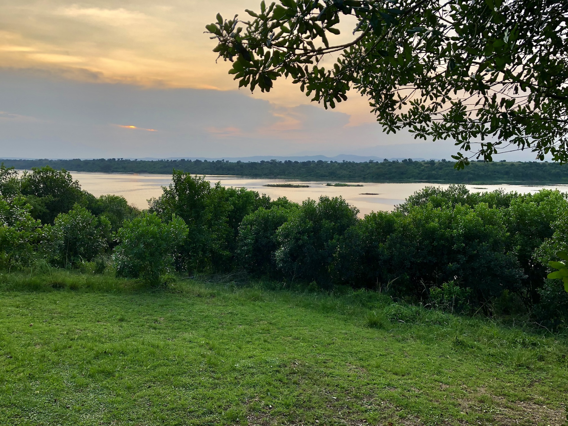 Uitzicht van Bush lodge