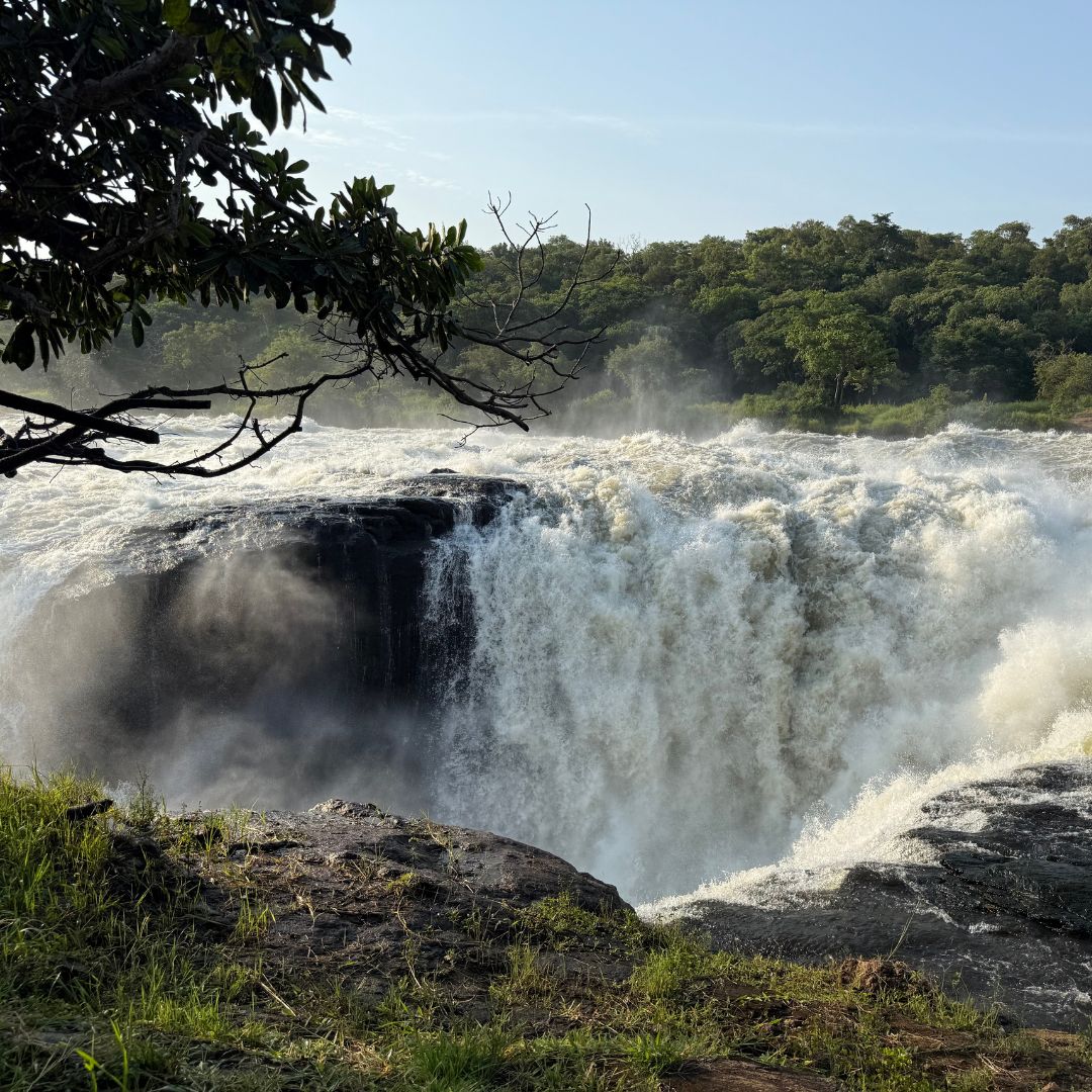 Murchison Falls oeganda