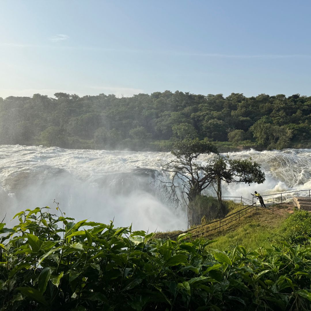 Murchison Falls oeganda
