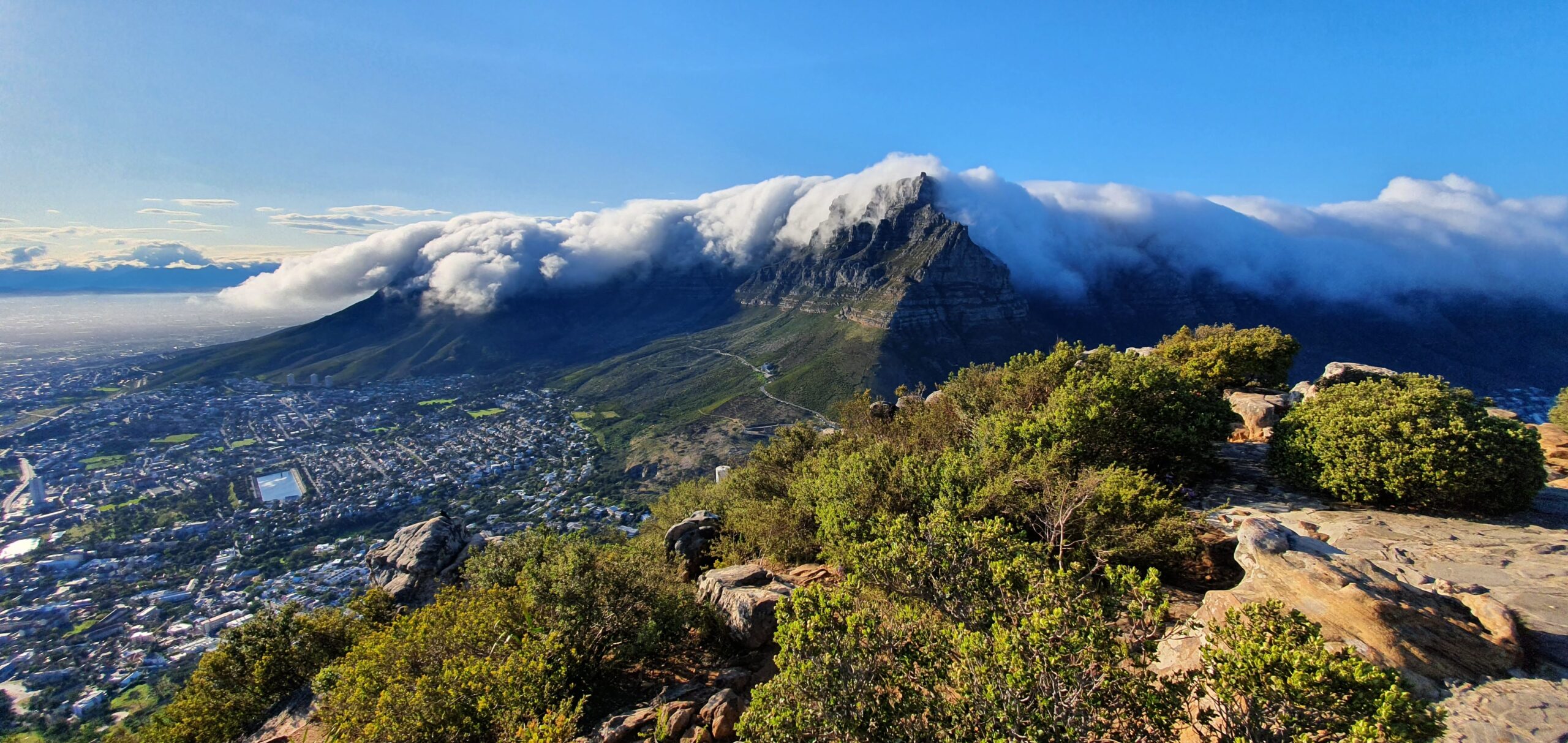 Table Mountain